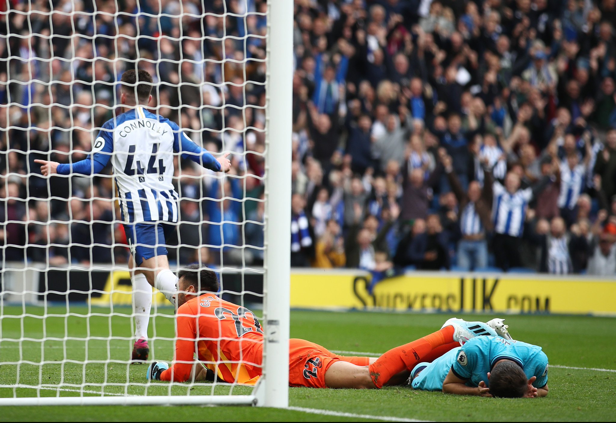 确保粉丝们 确保粉丝们